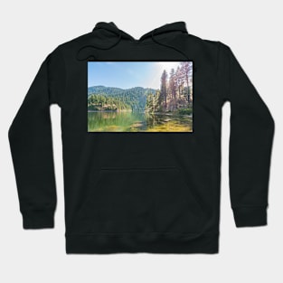 Mountain Lake Summer Forest Hoodie